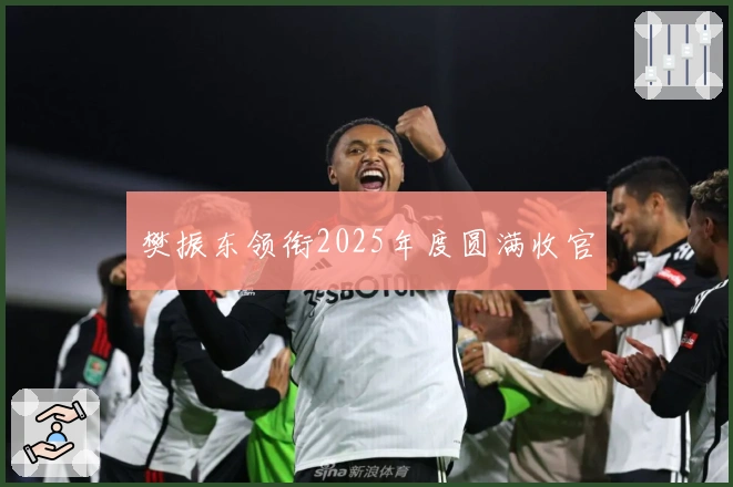 樊振东领衔2025年度圆满收官